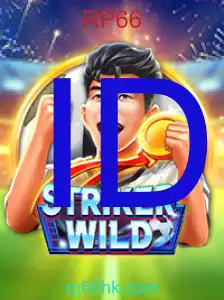 StrikerWILD